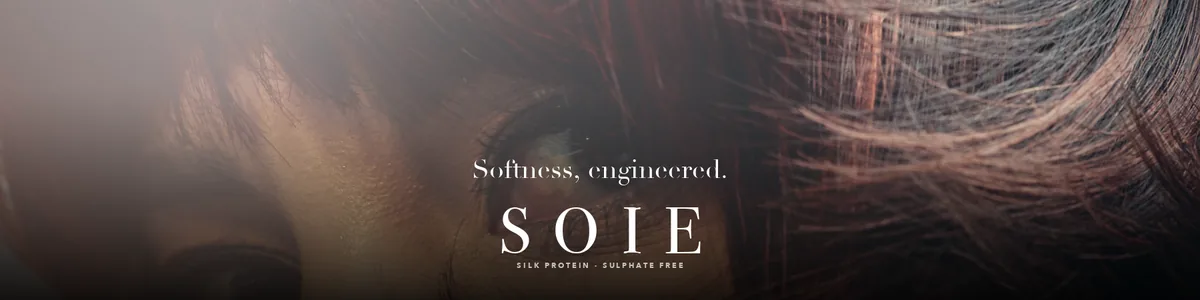 The SOIE campaign laid out at 96 sheet, 12192 x 3048mm